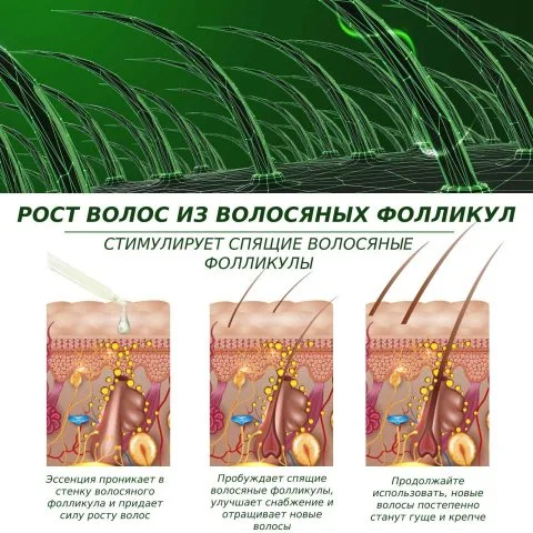 Эфирное масло розмарина для роста волос, ресниц и бровей, Aliver