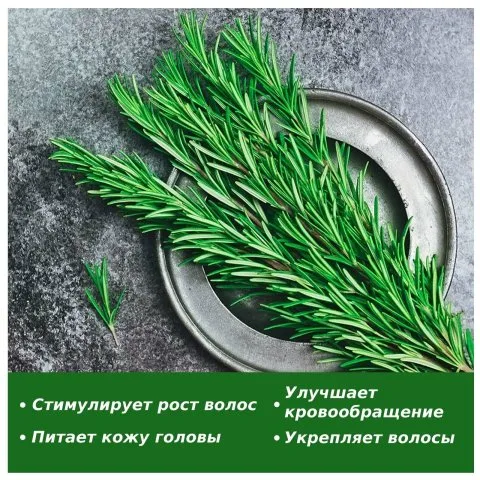 Эфирное масло розмарина для роста волос, ресниц и бровей, Aliver