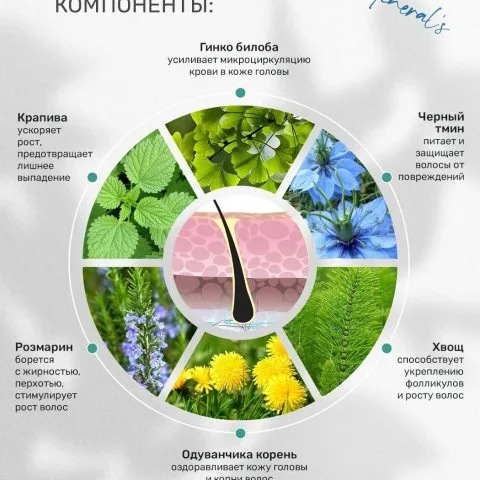 Шампунь для роста волос с розмарином, хвощем, ниацинамидом, Dr. Minerals