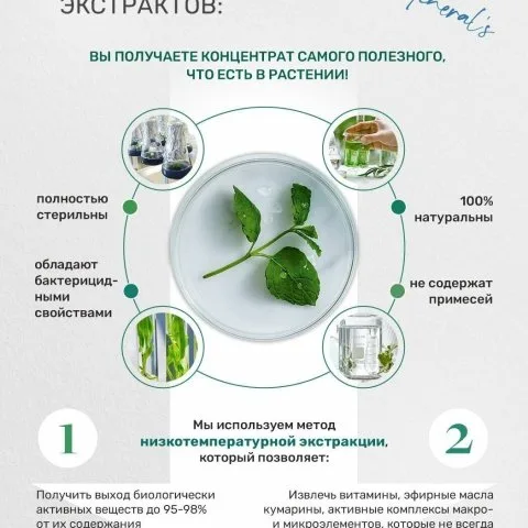 Шампунь для роста волос с розмарином, хвощем, ниацинамидом, Dr. Minerals
