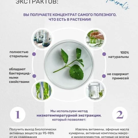 Кондиционер для слабых волос с мятой, имбирем, эвкалиптом, кератином, Dr. Minerals