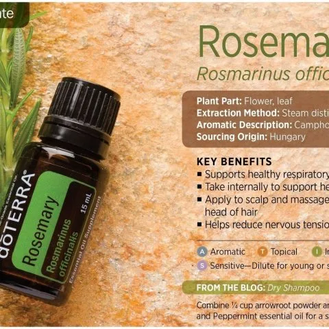 Эфирное масло розмарина от выпадения, для активации роста новых волос, DoTERRA